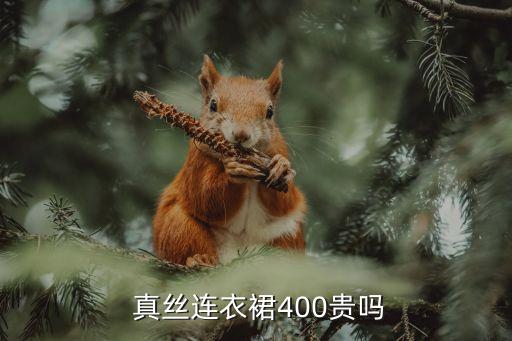  真丝连衣裙400贵吗