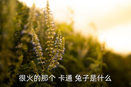 很火的那个 卡通 兔子是什么