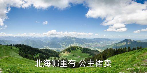 北海哪里有 公主裙卖