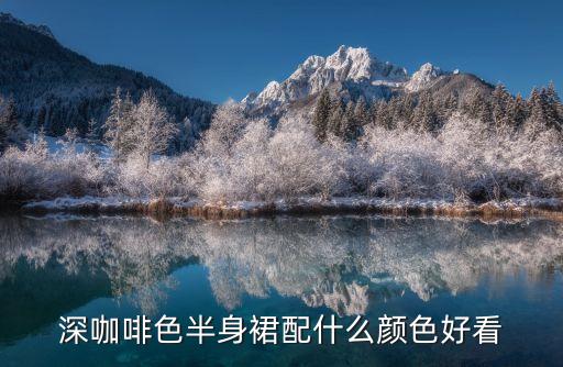 深咖啡色半身裙配什么颜色好看