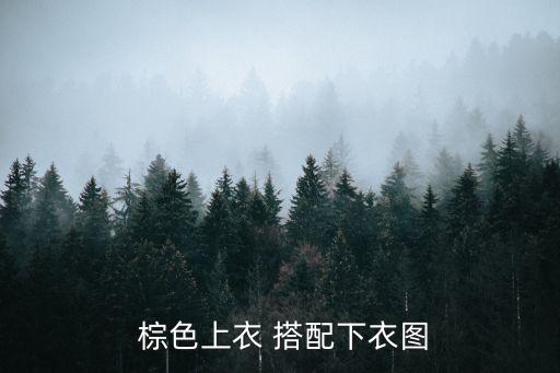  棕色上衣 搭配下衣图