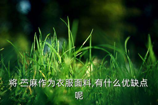 苎麻裙子搭配什么耳环