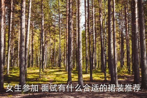 夏季面试裙子穿搭女性,2023裙子夏季穿搭