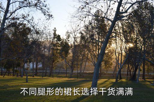 不同腿形的裙长选择干货满满