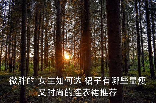 微胖的 女生如何选 裙子有哪些显瘦又时尚的连衣裙推荐