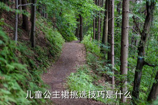 儿童公主裙挑选技巧是什么