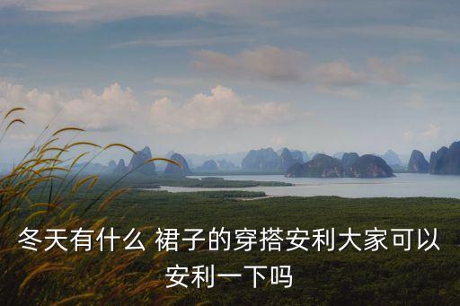 冬天有什么 裙子的穿搭安利大家可以安利一下吗