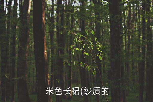  米色长裙(纱质的