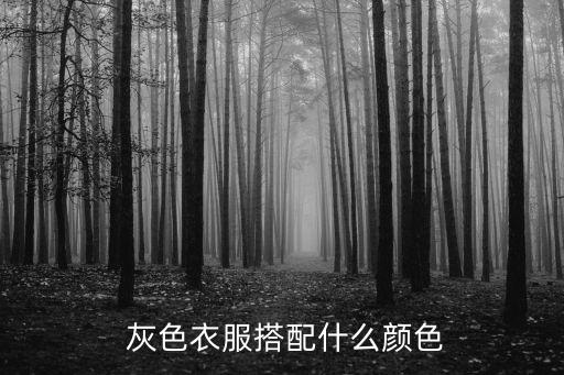  灰色衣服搭配什么颜色