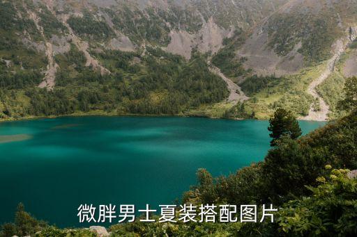 胖男生职场穿搭夏季裙子,男生职场面试穿搭