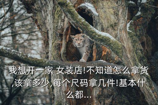 我想开一家 女装店!不知道怎么拿货,该拿多少,每个尺码拿几件!基本什么都...