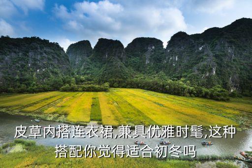 皮草内搭连衣裙,兼具优雅时髦,这种搭配你觉得适合初冬吗