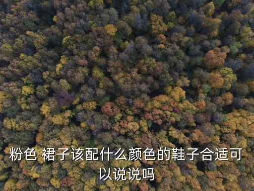 粉色 裙子该配什么颜色的鞋子合适可以说说吗