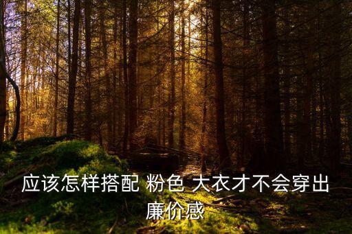 大衣搭裙子穿搭浅粉色,裙子配大衣的穿搭讲解