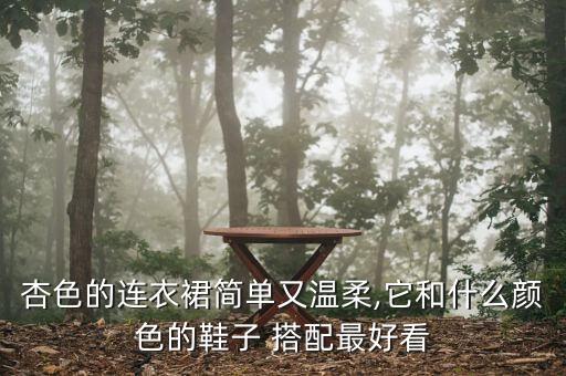 百搭板鞋搭配裙子图片,白色板鞋搭配什么裙子好看