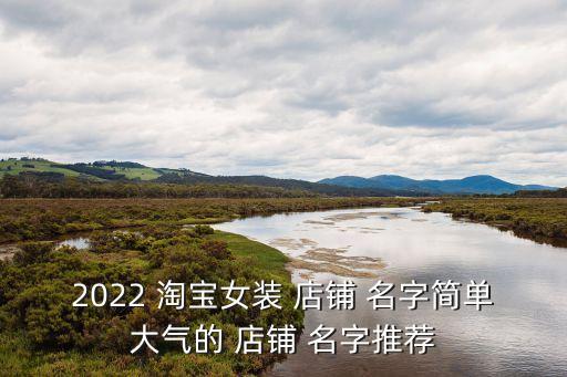 2022 淘宝女装 店铺 名字简单大气的 店铺 名字推荐