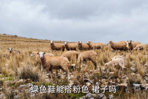绿色鞋能搭粉色 裙子吗
