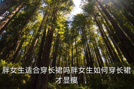 胖女生适合穿长裙吗胖女生如何穿长裙才显瘦