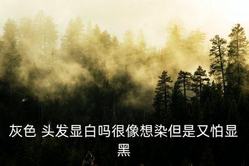 青灰色头发图片男,烟熏青灰色头发图片