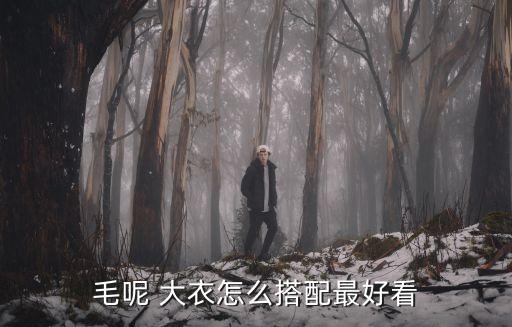 毛呢 大衣怎么搭配最好看