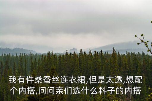 我有件桑蚕丝连衣裙,但是太透,想配个内搭,问问亲们选什么料子的内搭