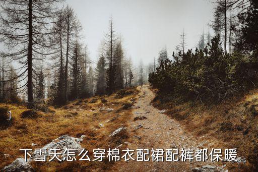 ﻿下雪天怎么穿棉衣配裙配裤都保暖