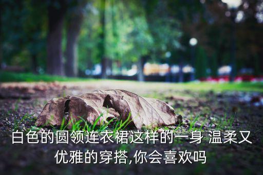 白色的圆领连衣裙这样的一身 温柔又优雅的穿搭,你会喜欢吗