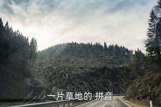 一片草地的 拼音