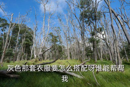  灰色那套衣服要怎么搭配呀谁能帮帮我