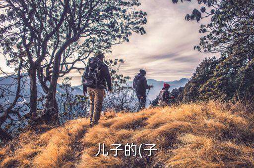 儿子的(子