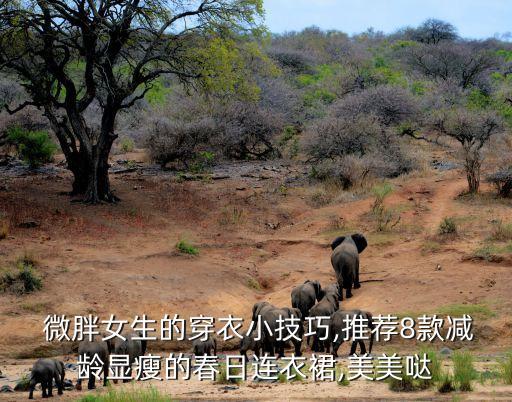  微胖女生的穿衣小技巧,推荐8款减龄显瘦的春日连衣裙,美美哒