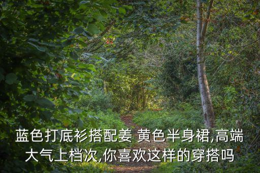 蓝黄色裙子穿搭,蓝裙子配黄色上衣好看吗