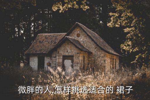 微胖穿裙子