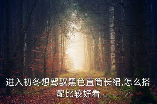 进入初冬想驾驭黑色直筒长裙,怎么搭配比较好看