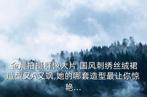  金晨拍摄群像大片,国风刺绣丝绒裙造型又A又飒,她的哪套造型最让你惊艳...