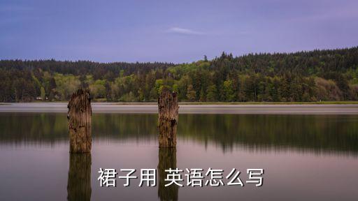  裙子用 英语怎么写