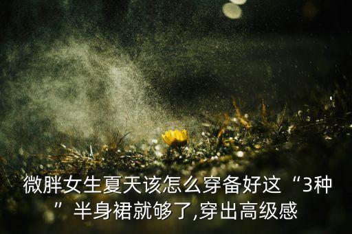  微胖女生夏天该怎么穿备好这“3种”半身裙就够了,穿出高级感