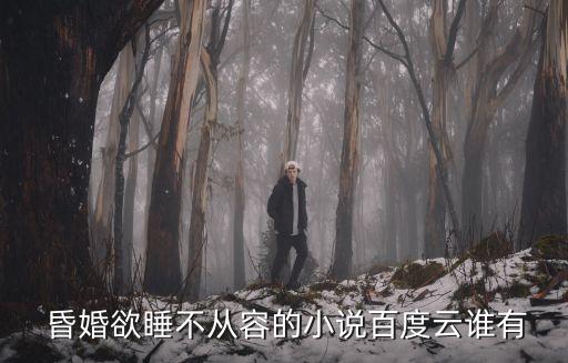  昏婚欲睡不从容的小说百度云谁有