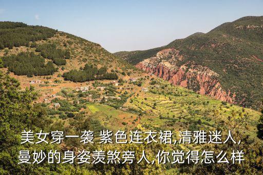 美女穿一袭 紫色连衣裙,清雅迷人,曼妙的身姿羡煞旁人,你觉得怎么样
