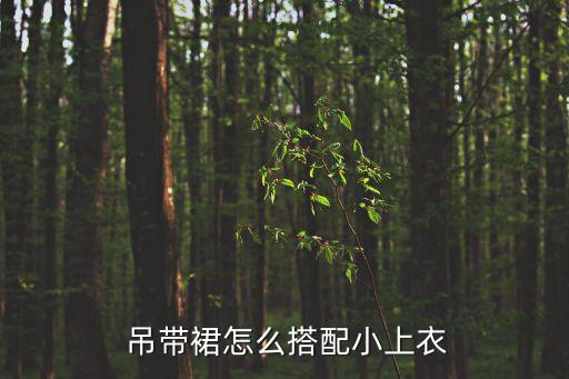  吊带裙怎么搭配小上衣