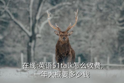 在线 英语51talk怎么收费,一年大概要多少钱