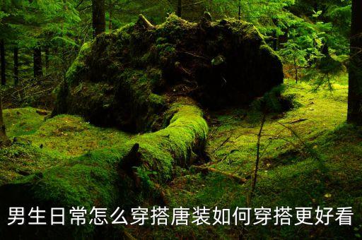 男生日常怎么穿搭唐装如何穿搭更好看