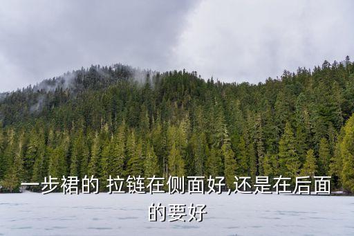 拉链修身裙子穿搭,有拉链的裙子穿前面还是后面