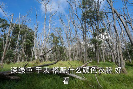 深绿色 手表 搭配什么颜色衣服 好看