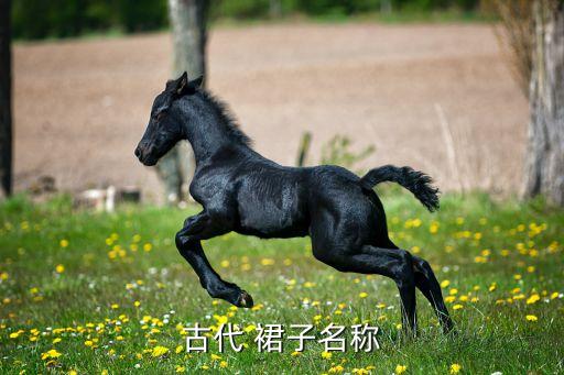 衣服裙子的名字,给裙子取名字大全集