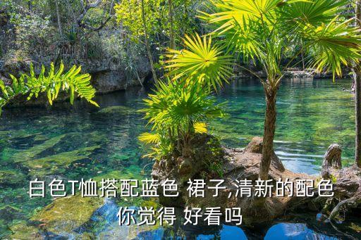 白色T恤搭配蓝色 裙子,清新的配色你觉得 好看吗