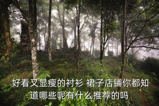  好看又显瘦的衬衫 裙子店铺你都知道哪些呢有什么推荐的吗