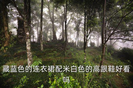 藏蓝色的连衣裙配米白色的高跟鞋好看吗