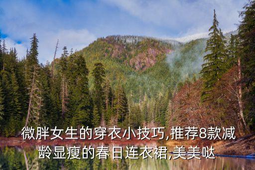  微胖女生的穿衣小技巧,推荐8款减龄显瘦的春日连衣裙,美美哒