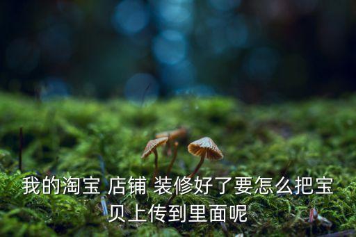 女装店铺装修图片,女服装店铺装修设计图片